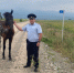 На юге края полицейские вернули домой пропавшую лошадь - ОМВД "Шушенский" 